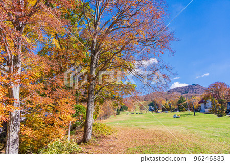 (Yamagata Prefecture) Yamagata Zao Uenodai Slope with Autumn Leaves 96246883