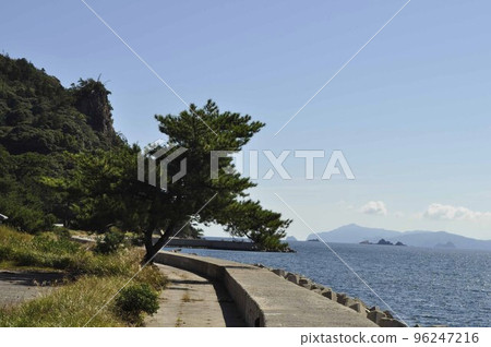 一張照片 96247216