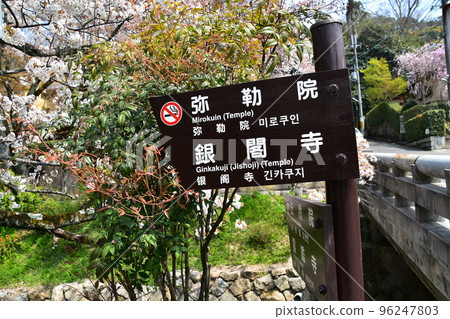 Kyoto City, Kyoto Prefecture, Japan Philosopher's Walk near Ginkakuji Temple Cherry blossoms in full bloom and a stream Signs written as Mirokuin Temple and Ginkakuji Temple 96247803