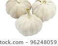 garlic isolated on white background with clipping path inside 96248059