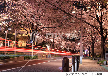 Night cherry blossoms at Roppongi Sakurazaka ( Roppongi, Minato-ku, Tokyo / March 2018 ) 96248086