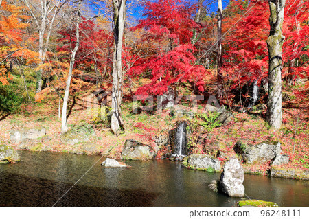 青龍瀑布和紅葉林 96248111