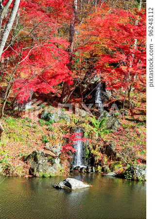 Autumn leaves and Seiryu Falls (vertical) 96248112