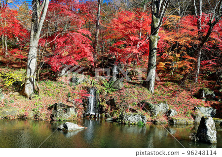 Autumn leaves forest and Seiryu Falls 96248114
