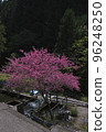 Button cherry 96248250