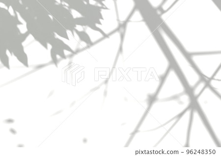 葉子和樹枝的簡單陰影框架 96248350