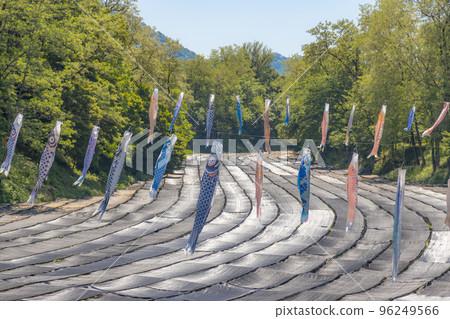 Carp streamers on the wasabi field 96249566