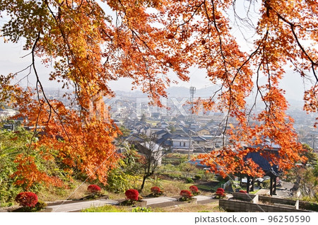 A view of the townscape between the red maple leaves A view of the townscape between the red maple leaves 96250590