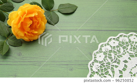 黃玫瑰木紋綠色背景 96250852