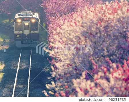 Spring Watarase Valley Railway, Hanamomo Season Spring Watarase Valley Railway, Hanamomo Season 96251785
