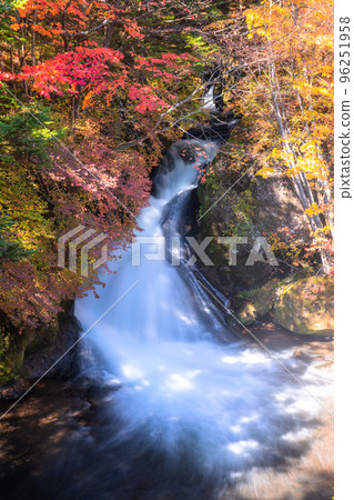 《栃木縣》秋天的龍頭瀑布・紅葉旺季 《栃木縣》秋天的龍頭瀑布・紅葉旺季 96251958