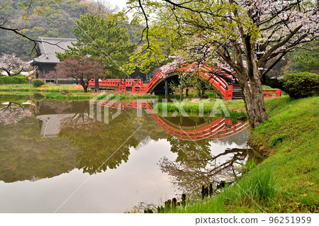 神奈川縣橫濱市金澤區正明寺風光與櫻花盛開 神奈川縣橫濱市金澤區正明寺風光與櫻花盛開 96251959