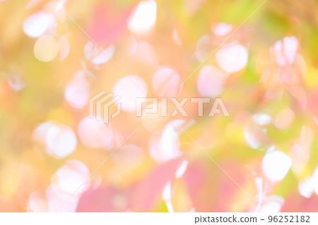 山茱萸秋葉散焦 [背景虛化] [模糊] 96252182
