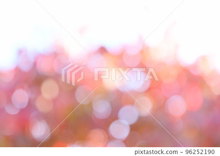 Out-of-focus of autumn leaves of dogwood [Bokeh] [Blur] 96252190