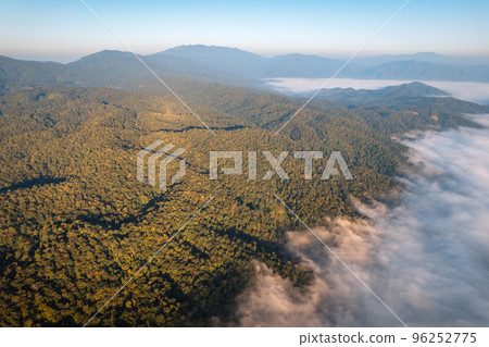 sunrise in the forest sunrise in the forest 96252775
