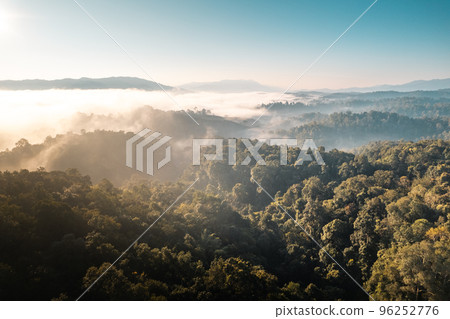 sunrise in the forest sunrise in the forest 96252776