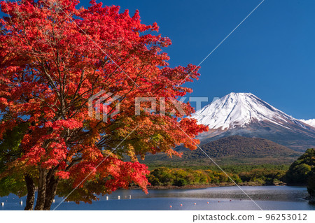 圖庫照片: “山梨縣”秋天富士山和精進湖的秋葉 圖庫照片: “山梨縣”秋天富士山和精進湖的秋葉 96253012