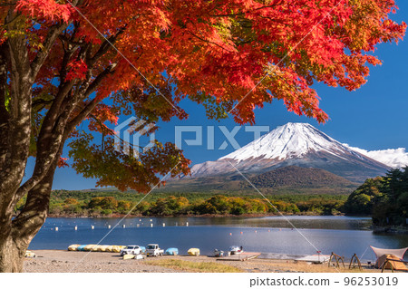圖庫照片: “山梨縣”秋天富士山和精進湖的秋葉 圖庫照片: “山梨縣”秋天富士山和精進湖的秋葉 96253019