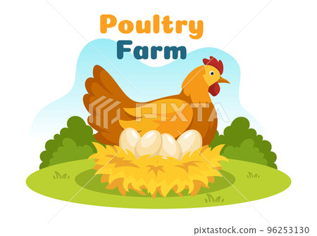 Poultry Farming with Farmer, Cage, Chicken and Egg Farm on Green Field Background View in Hand Drawn Cute Cartoon Template Illustration 96253130