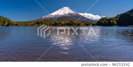 《山梨縣》秋天的富士山、精進湖湖畔 96253242