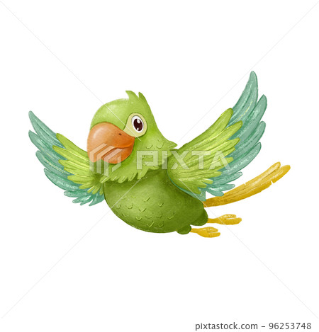 Green parrot bird flying. Hand drawn cartoon character isolated on white. Green parrot bird flying. Hand drawn cartoon character isolated on white. 96253748