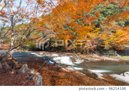 Autumn leaves of Aso 96254106