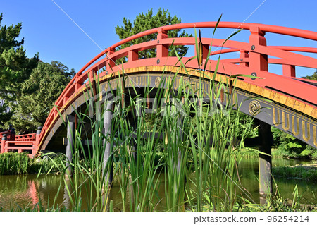 Cattails in Ajigaike Pond and Shomyoji Warped Bridge in Kanazawa Ward, Yokohama City, Kanagawa Prefecture 96254214