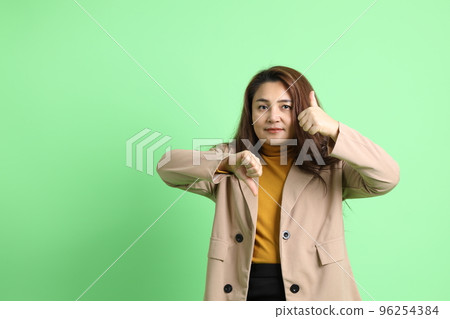 Asian Business Woman 96254384