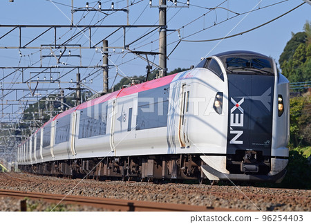 Narita Line Sakura-Shisui JR East E259 series Ne021 formation (Kamakura) 成田特快NEX 96254403
