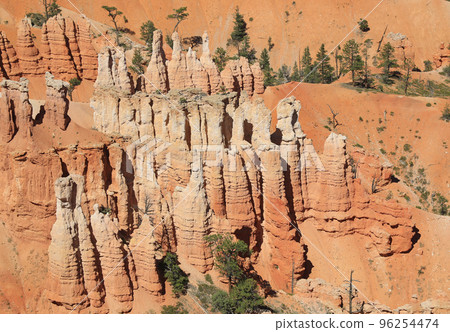 Bryce Canyon landscape close-up in Utah, USA  96254474