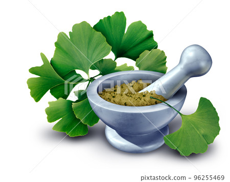 Ginkgo Biloba Supplement Concept Ginkgo Biloba Supplement Concept 96255469
