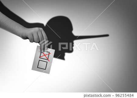 Vote Fraud Vote Fraud 96255484