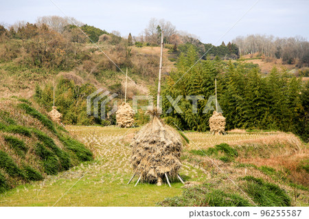 Asuka Village, Nara Prefecture, winter, pampas grass (rice straw stacking) Asuka Village, Nara Prefecture, winter, pampas grass (rice straw stacking) 96255587