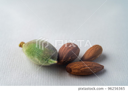 Twig of evergreen juniper with seven blue old berries, three almonds nut, in springtime isolated on white textured paper. Juniperus communis. Copy space. Balanced diet vegan healthy lifestyle concept. 96256365