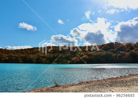 Landscape with colored leaves and lake Landscape with colored leaves and lake 96256685