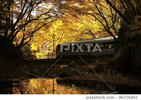 一邊欣賞紅葉的溪流，一邊沿著奧鬼怒路走……在龍京站，乘坐特快 Liberty Aizu 500 series 96256802