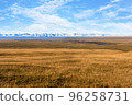 Silk road 96258731