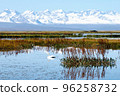 silk road lake and swan 96258732