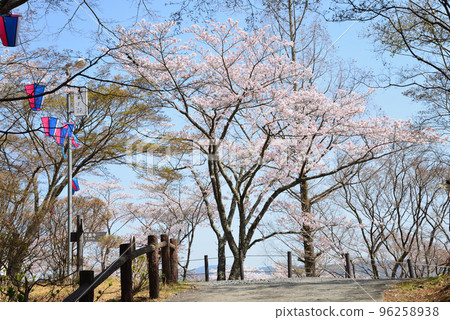 我們去西山公園#41看櫻花 我們去西山公園#41看櫻花 96258938