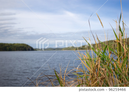view of a mountain lake surrounded by bushes and trees in autumn 96259466