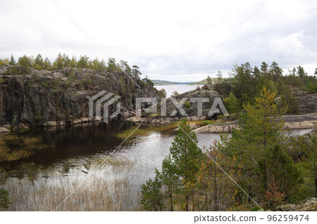 beautiful autumn landscape. lake view surrounded by forest 96259474