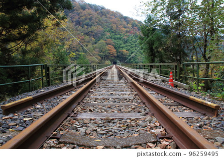 停運的JR三光線（現江之川鐵道）廣島縣一側的柳原隧道前 96259495