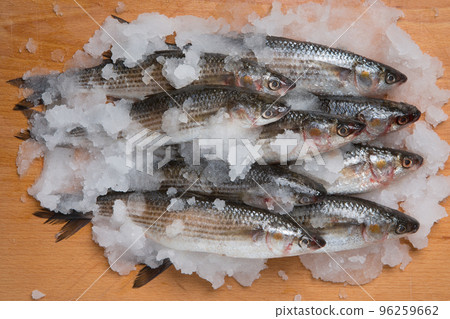 A bunch of fresh mullet, stacked with snow and fine ice, on a wooden board 96259662