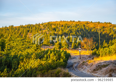 Narrow mountain tourist path marked with wooden poles. Cold and sunny autumn day in Hruby Jesenik Mountains, Czech Republic Narrow mountain tourist path marked with wooden poles. Cold and sunny autumn day in Hruby Jesenik Mountains, Czech Republic 96259985