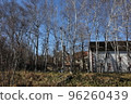 Kingdom of Gluck 2022 Autumn 13 96260439
