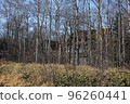 Kingdom of Gluck 2022 Autumn 15 96260441