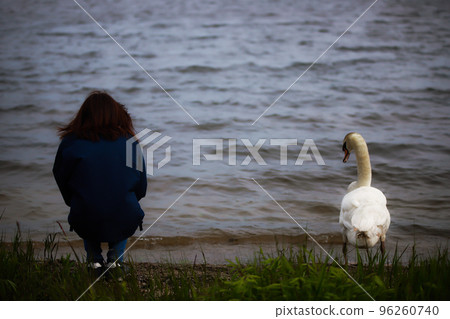 Lake Utonai Girl and Swan Lake Utonai Girl and Swan 96260740