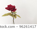 玫瑰 96261417