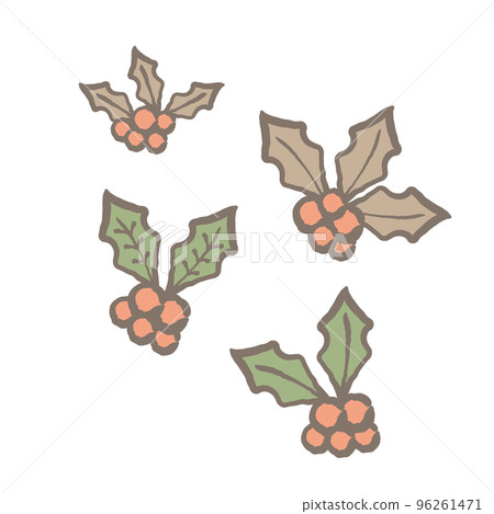 Fir tree fruit illustration set Fir tree fruit illustration set 96261471