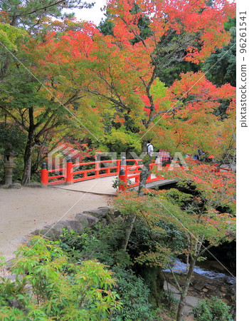 Konoyagi公園 96261541